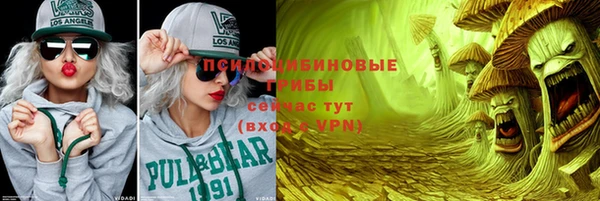 ГАЛЛЮЦИНОГЕННЫЕ ГРИБЫ Зерноград