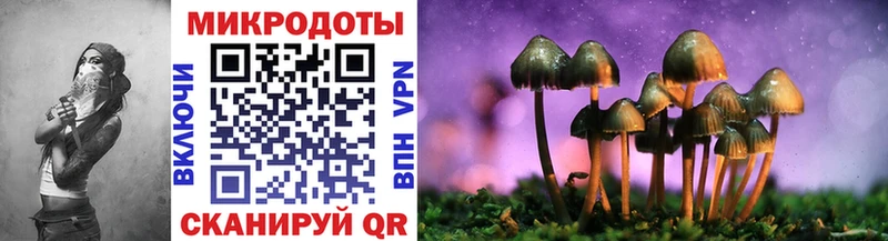 Купить  Ивангород  Псилоцибиновые грибы мицелий 